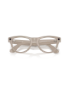 Ray-Ban Meta Skyler gris poudré brillant