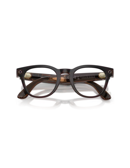 Ray-Ban Meta Scriber Optics ombre transparent