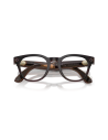Ray-Ban Meta Scriber Optics ombre transparent