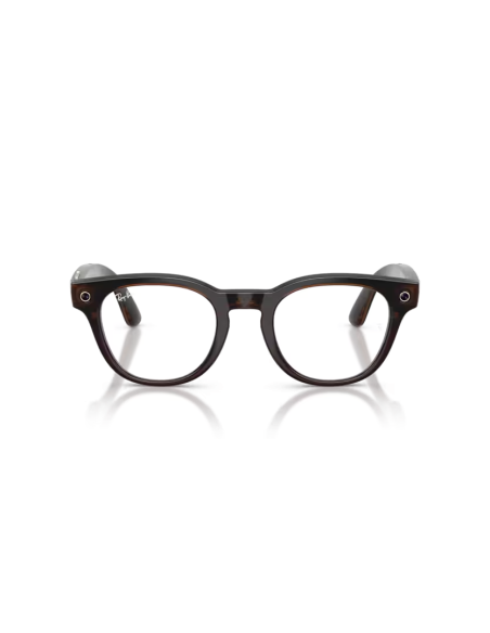 Ray-Ban Meta Scriber Optics ombre transparent