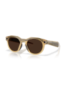 Oakley Meta HSTN Light Curry | Smart glasses sport