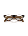 Ray-Ban Meta Blayzer Optics Havana