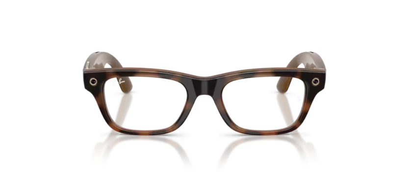 Ray-Ban Meta Blayzer Optics Havana